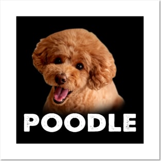 Sophisticated Swirls Poodle Style, Trendsetting Tail-Wagging T-shirt Posters and Art